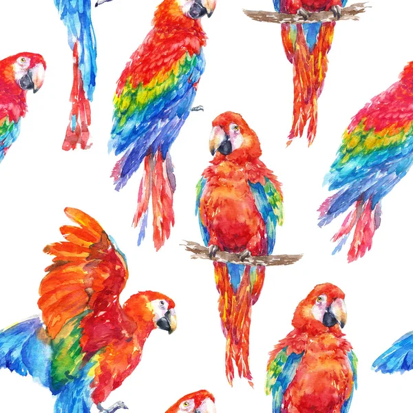 カラフルなオウム熱帯鳥水彩イラストのシームレス背景 — ストック写真