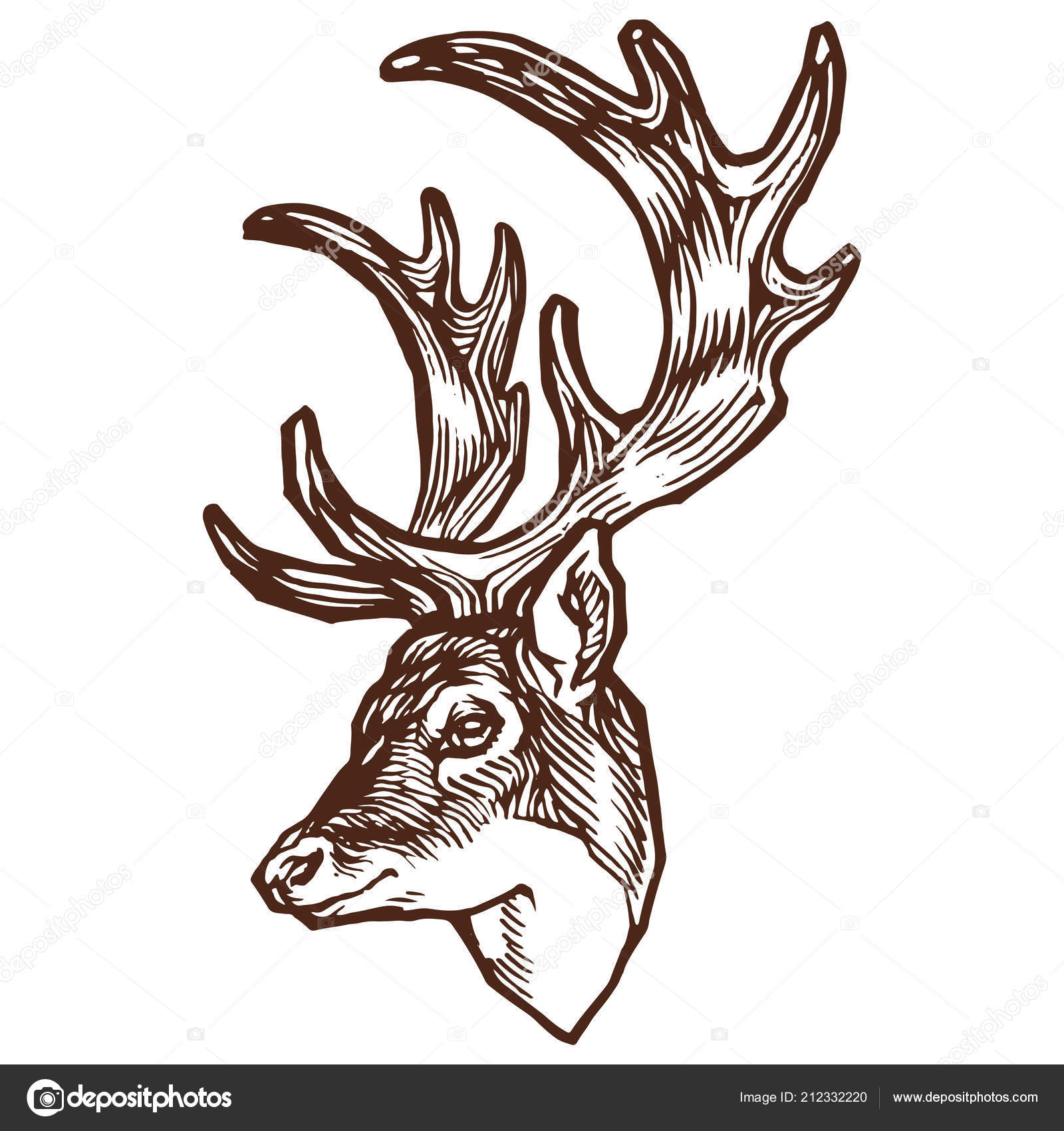 Deer Antlers Portrait Outline Line Art Stock Vector Illustration Design
