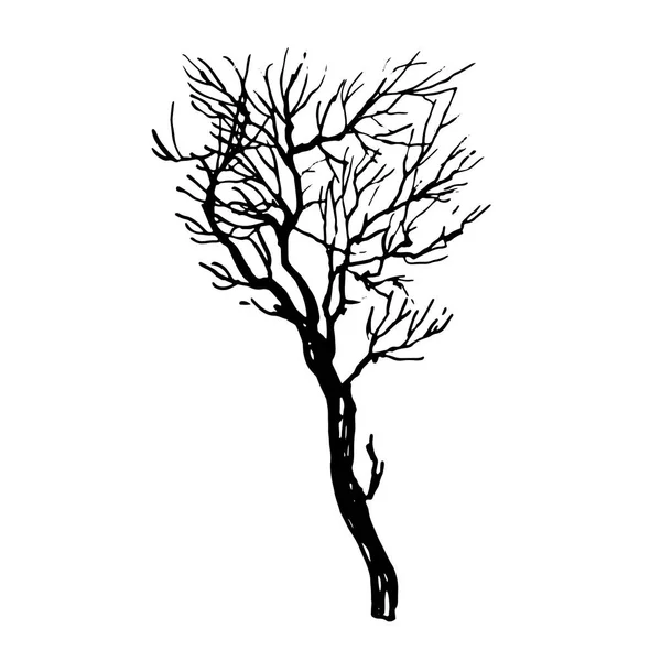 Arbre Silhouette Noire Illustration Vectorielle Isolée — Image vectorielle