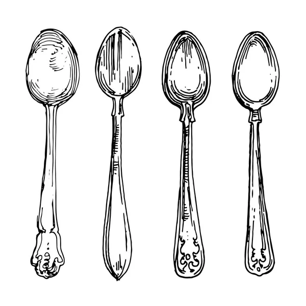 Spoons Kitchen Stuff Silverware Vintage Hand Drawn Collection Vector Illustration — Stock Vector