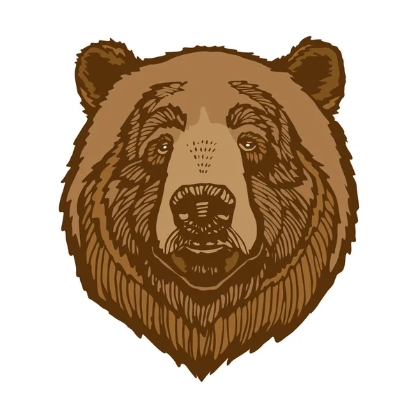 Καφέ Αρκούδα Κεφάλι Πορτρέτο Εικονογράφηση Διάνυσμα Απομονώνονται Λευκό Φόντο — Διανυσματικό Αρχείο