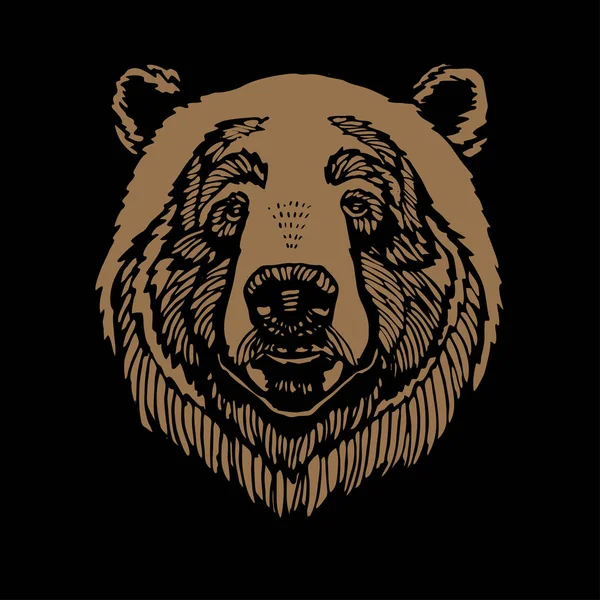 Καφέ Αρκούδα Κεφάλι Πορτρέτο Εικονογράφηση Διάνυσμα Απομονώνονται Μαύρο Φόντο — Διανυσματικό Αρχείο