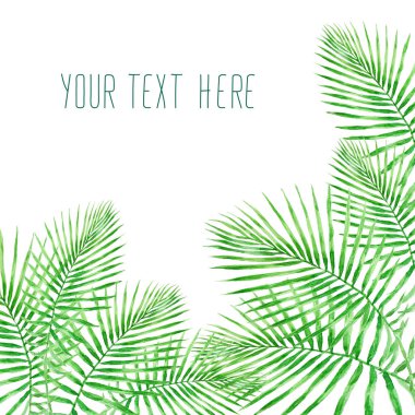 Yeşil tropikal palmiye, beyaz arkaplanda izole edilmiş suluboya çizimi bırakır