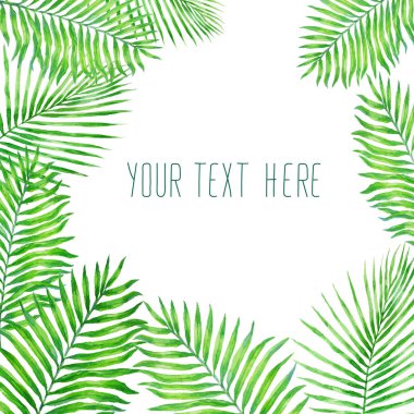 Yeşil tropikal palmiye, beyaz arkaplanda izole edilmiş suluboya çizimi bırakır