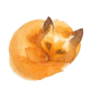 Sevimli kırmızı tilki suluboya illüstrasyon izole beyaz arka plan üzerinde