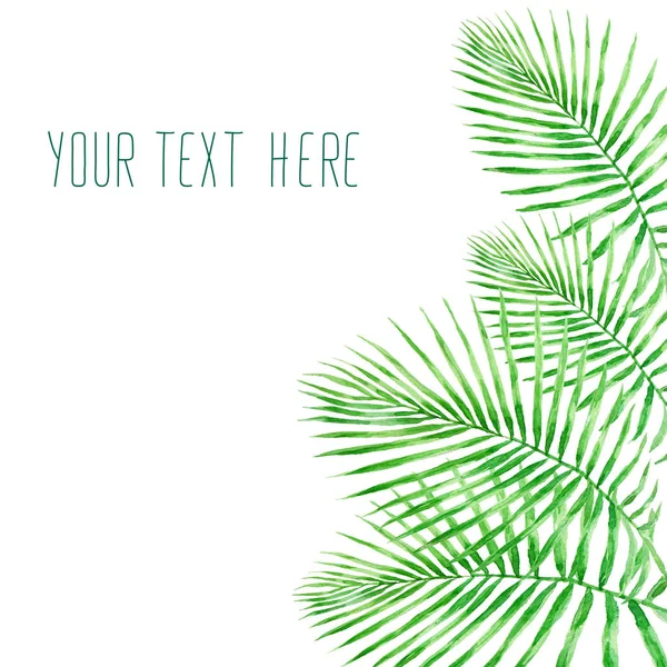 Yeşil Tropikal Palmiye Beyaz Arkaplanda Izole Edilmiş Suluboya Çizimi Bırakır — Stok fotoğraf