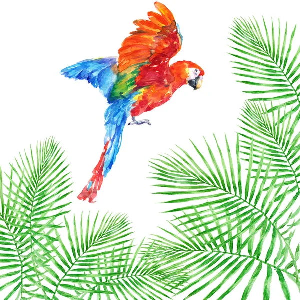 Kleurrijke Ara Papegaai Met Groene Tropische Palm Bladeren Aquarel Illustratie — Stockfoto