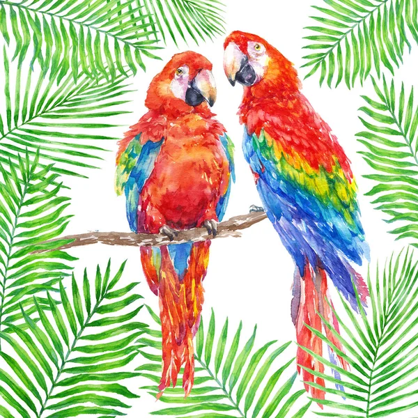 Dois Papagaios Ara Coloridos Com Verde Folhas Palma Tropical Ilustração — Fotografia de Stock