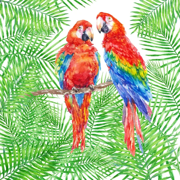 Дві Барвисті Папуги Зеленою Тропічною Долонею Листя Акварелі Ілюстрація Білому — стокове фото