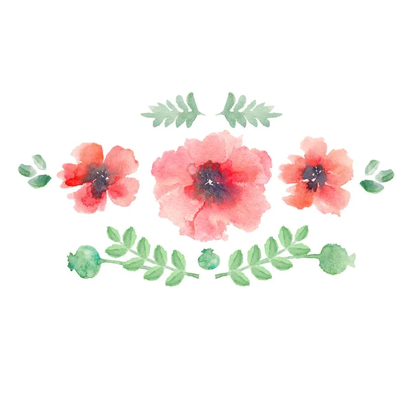 Макові Червоні Квіти Зелене Листя Елементи Вінка Ізольовані Акварельні Ілюстрації — стокове фото