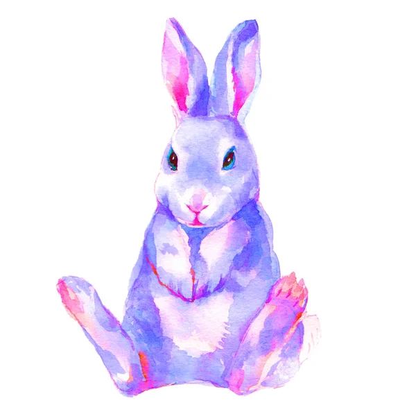 Watercolor Bunny Rabbit Hare Isolated Illustration White Background — Stock Photo, Image