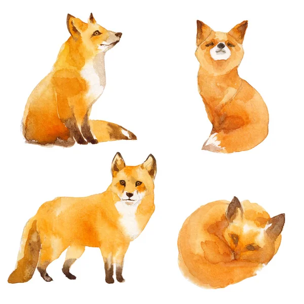 Roztomilý Red Fox Akvarel Ilustrace Izolované Bílém Pozadí — Stock fotografie