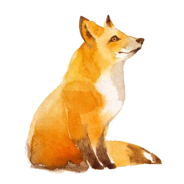 Cute Red Fox Akwarela Ilustracja Białym Tle — Zdjęcie stockowe