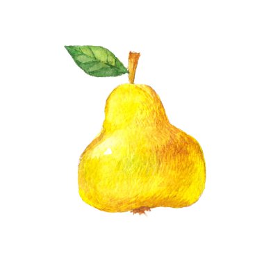 Armut izole suluboya çizimi