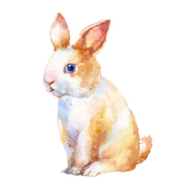 Beyaz arka plan üzerinde şirin küçük tavşan suluboya resim