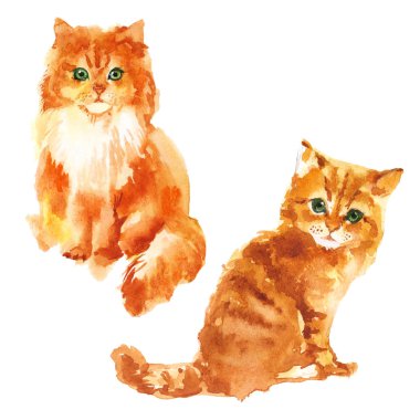 Şirin küçük suluboya illüstrasyon izole beyaz arka plan üzerinde yavru kedi