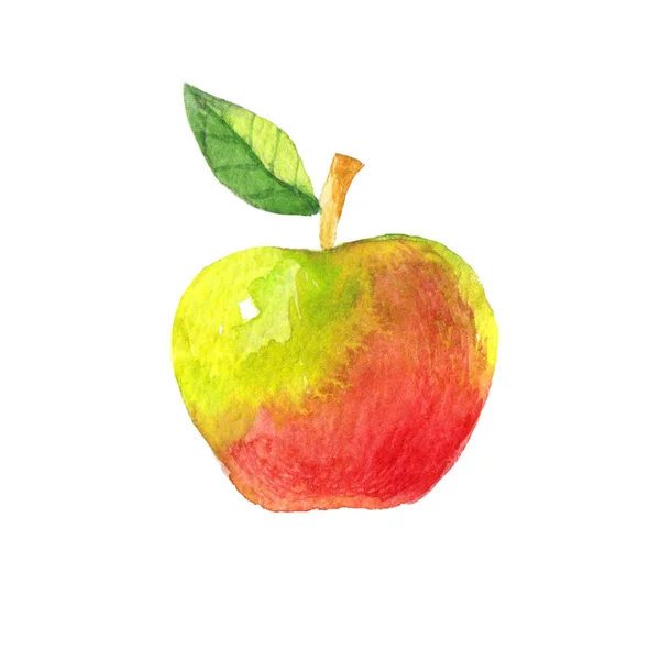 Apple Frutta Acquerello Illustrazione — Foto Stock