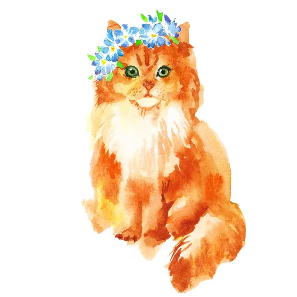 Niedlichen Kleinen Roten Kätzchen Mit Blumen Kranz Aquarell Illustration Auf — Stockfoto