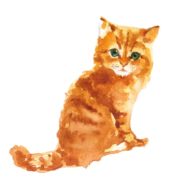 Söta Lilla Kitty Akvarell Illustration Isolerade Vit Bakgrund — Stockfoto