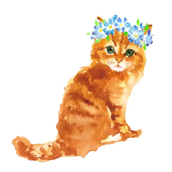 Cute little red kitty with flowers wreath Watercolor illustration on white background