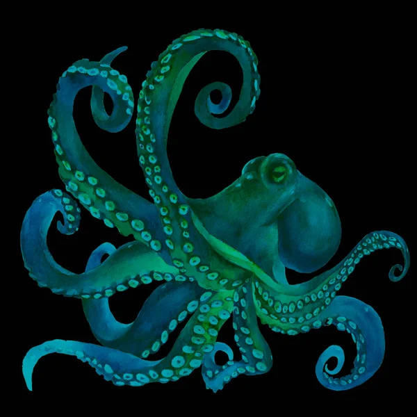 Aquarel Octopus Zee Poulpe Devilfish Met Tentakels Illustratie Geïsoleerd Witte — Stockfoto