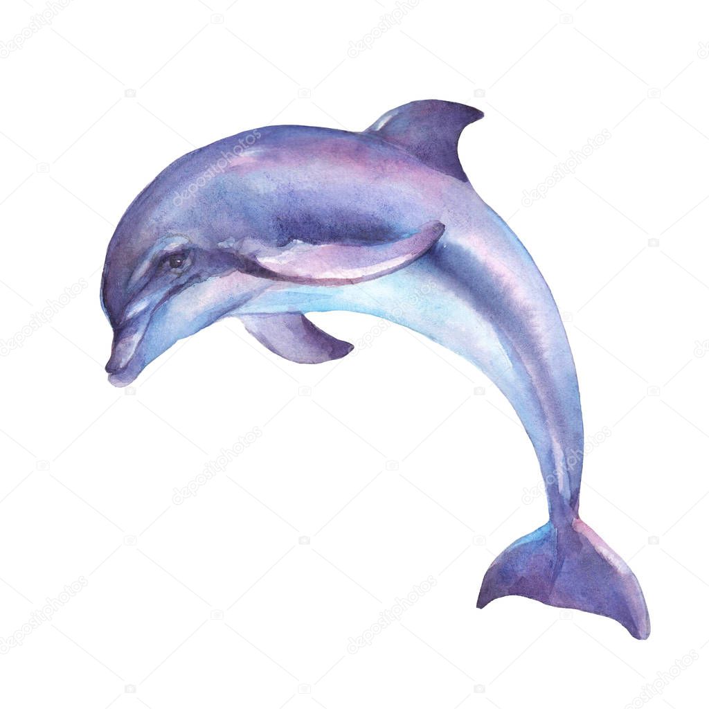 Dolphin jumping isolated on white background watercolor illustration