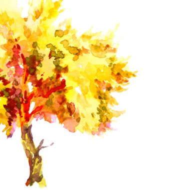 Sarı ve kırmızı akçaağaç ağaç suluboya resim şablon beyaz arka plan üzerinde izole yaprak