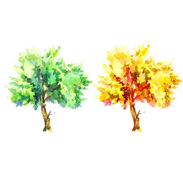 Zielone Lato Jesień Żółty Drzewa Ustawić Akwarela Ilustracja Białym Tle — Zdjęcie stockowe