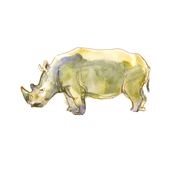 Rinoceronte Animal Rinoceronte Acuarela Boceto Aislado Sobre Fondo Blanco —  Fotos de Stock