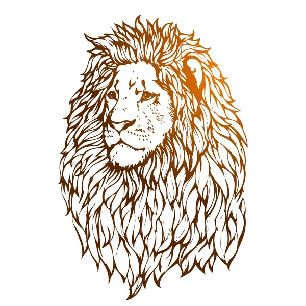 Lion Ink Drawn Illustration — Stock Vector