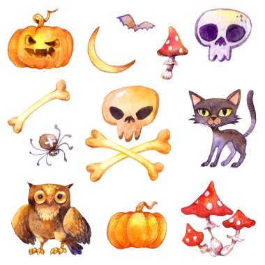 Kafatası, balkabağı fener, kara kedi, hayalet, örümcek, baykuş, kemikler, mantar ve sonbahar yaprakları ile yarasa. Şirin Halloween simgeleri. Suluboya resim koleksiyonu kümesi, beyaz arka plan üzerinde izole