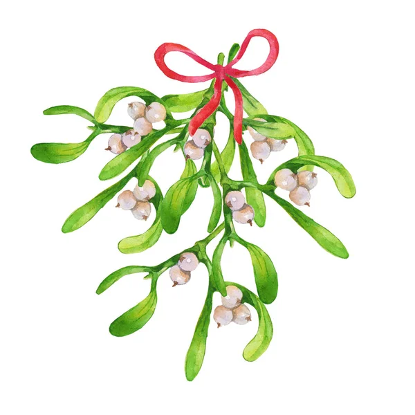 Mistletoe Branch Red Ribbon Hand Drawn Watercolor Illustration White Background — Stock Photo, Image