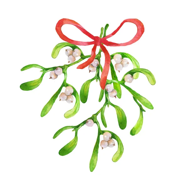 Mistletoe branch with red ribbon hand drawn watercolor illustration on white background