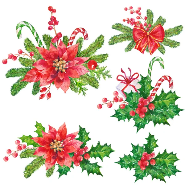 Karácsonyi Dekoráció Összetétele Növényzet Virágok Piros Mikulásvirág Kézzel Rajzolt Akvarell — Stock Fotó