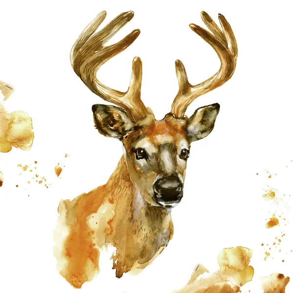 Tête Cerf Aquarelle Animal Avec Grandes Cornes Isolées Sur Fond — Photo