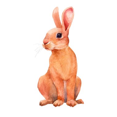 Sevimli tavşan. Kahverengi tavşan. Paskalya tasarım. El suluboya resim çekilmiş