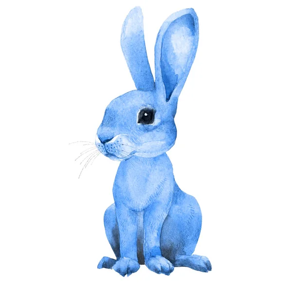 Cute Rabbit Little Hare Blue Bunny Hand Drawn Watercolor Illustration — Stock Photo, Image