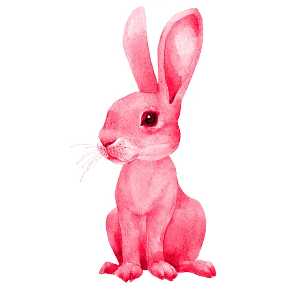 Niedliche Kaninchen Kleiner Hase Rosa Häschen Handgezeichnete Aquarell Illustration Isoliert — Stockfoto