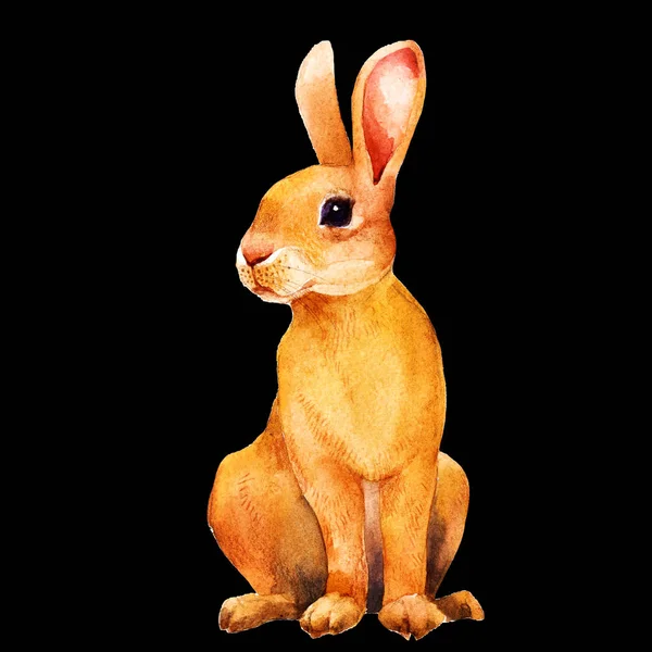 Lindo Conejo Liebre Marrón Diseño Pascua Ilustración Acuarela Dibujada Mano — Foto de Stock