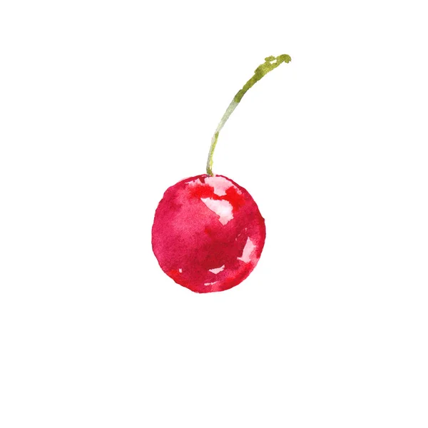 Cherry Red Berry Aquarel Illustratie Schets Witte Achtergrond — Stockfoto