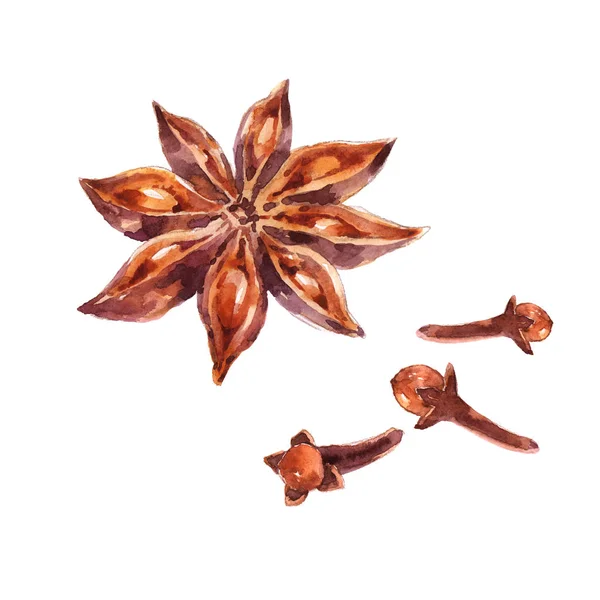 Star Anise Brown Aromatic Seed Spice Watercolor Illustration Isolated White — Stock Photo, Image