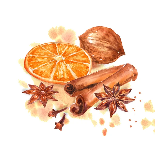 Winter Spices Set Anise Badian Dry Orange Citrus Cinnamon Allspice — Stock Photo, Image