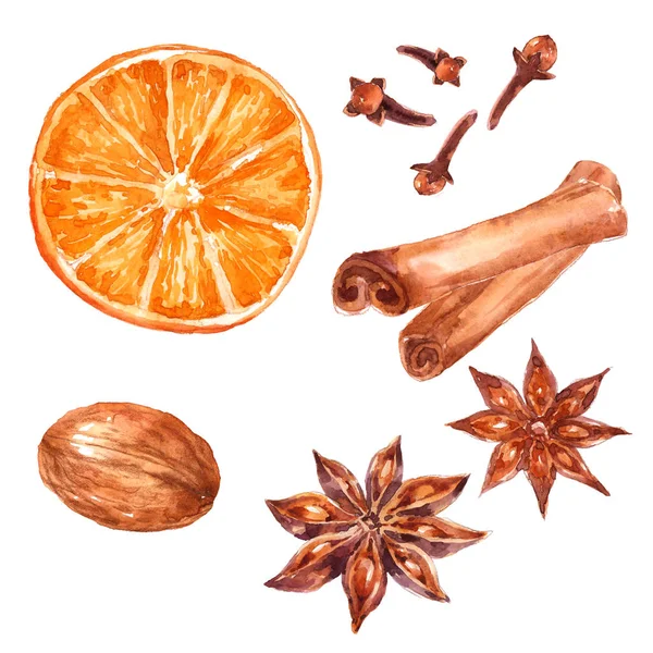 Winter Spices Set Anise Badian Dry Orange Citrus Cinnamon Allspice — ストック写真