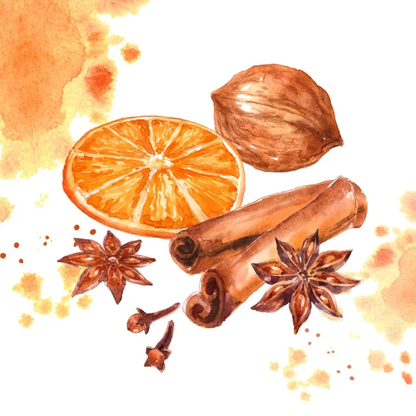 Winter Spices Set Anise Badian Dry Orange Citrus Cinnamon Allspice — Stock Photo, Image