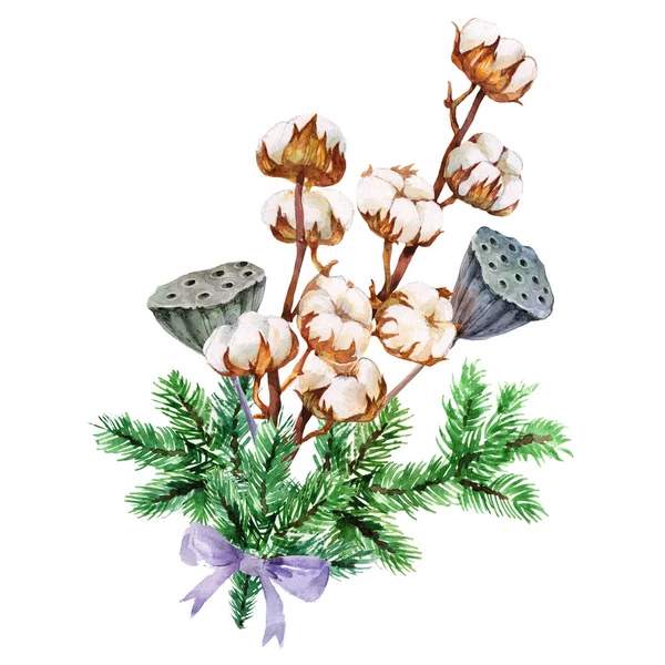 Boeket Met Katoen Gedroogde Lotus Takken Aquarel Botanische Illustratie Geïsoleerd — Stockfoto