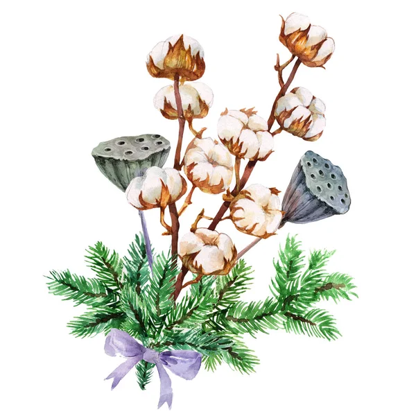 Bukett Med Bomull Torkade Lotus Grenar Akvarell Botaniska Illustration Isolerade — Stockfoto