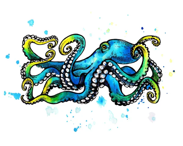 Pulpo Azul Con Tentáculos Ilustración Acuarela Sobre Fondo Blanco Tatuaje —  Fotos de Stock