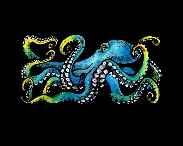 Blue Octopus with tentacles. Watercolor illustration on black background. Tattoo sketch