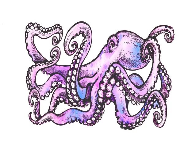 Purple Octopus Met Tentakels Aquarel Illustratie Geïsoleerd Een Witte Achtergrond — Stockfoto