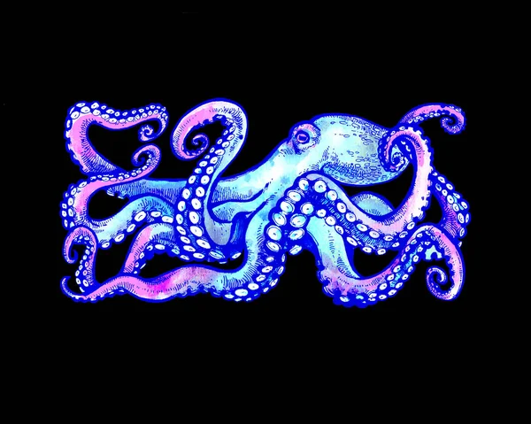 Blue Octopus with tentacles. Watercolor illustration on black background. Tattoo sketch